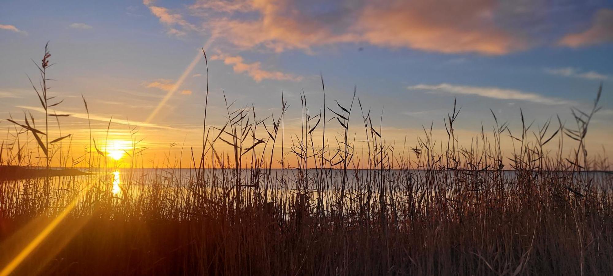 Meze Avec Vue Face A L'Etang Villa Exteriör bild