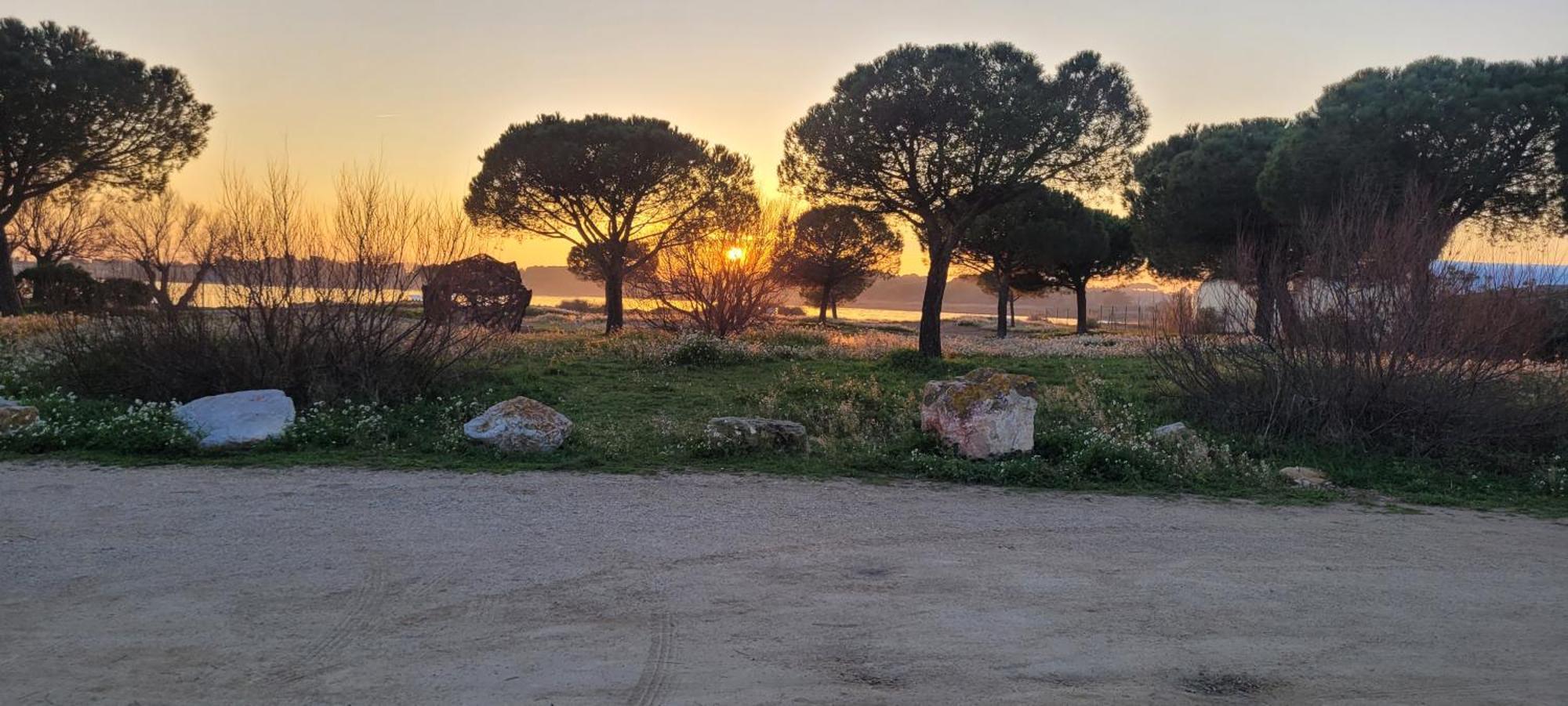 Meze Avec Vue Face A L'Etang Villa Exteriör bild