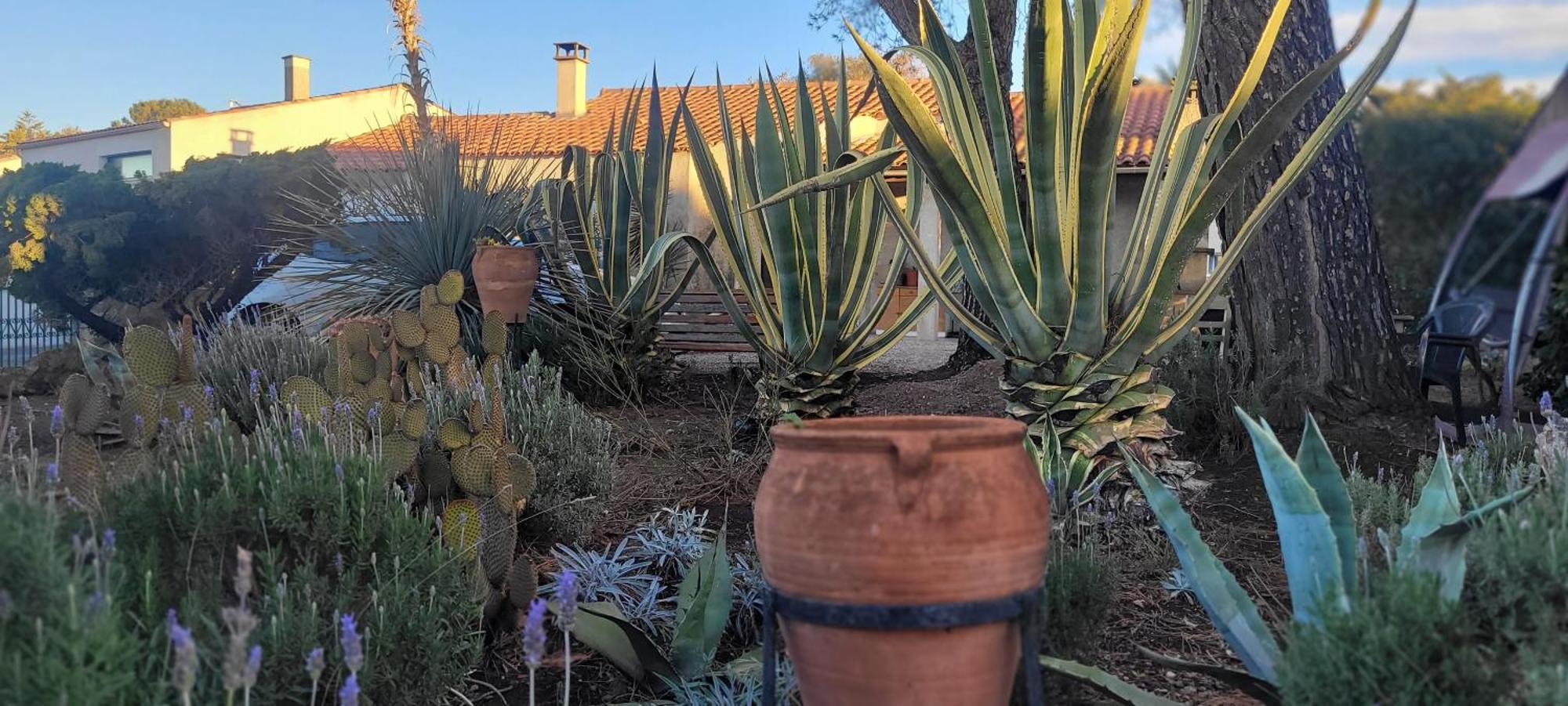 Meze Avec Vue Face A L'Etang Villa Exteriör bild